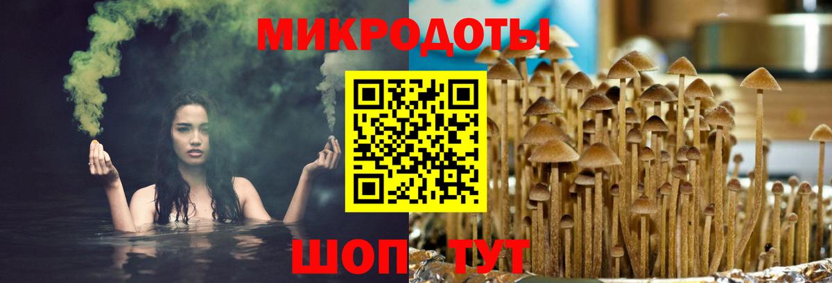 Орёл  Псилоцибиновые грибы мицелий  Вход с VPN  Галлюциногенные грибы прущие грибы 